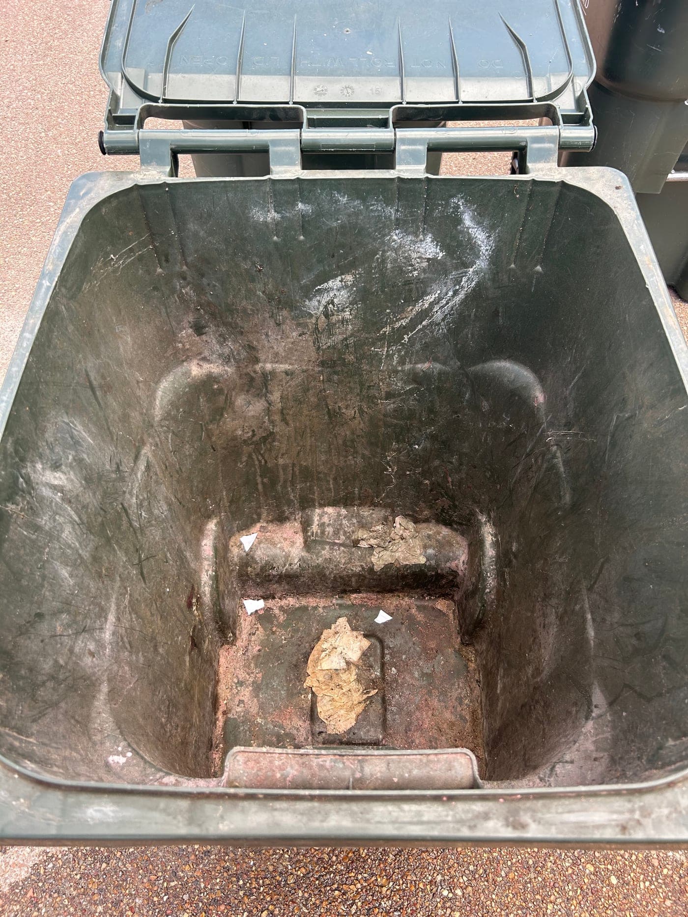 Dirty trash bin interior before cleaning
