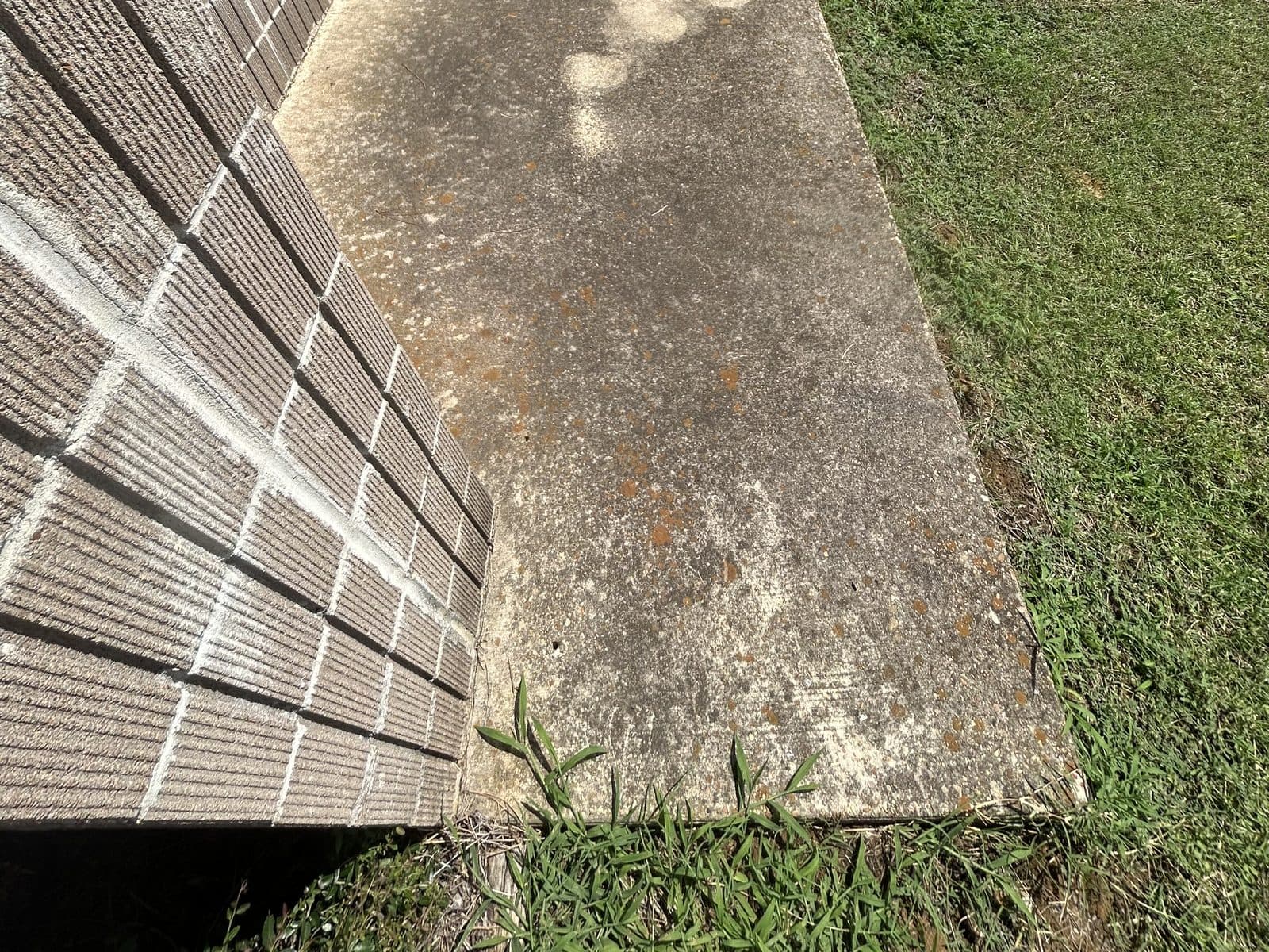 Entry sidewalk along a brick wall, stained with orange lichen and dirt before pressure washing